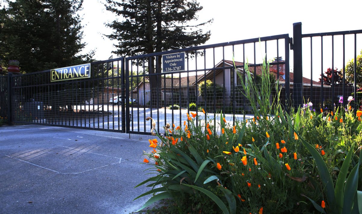 Meadows Canine Camp Front Gates