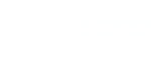 The Meadows Canine Camp